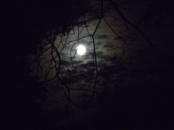 Full moon