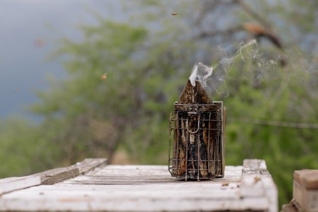 Click to enlarge beehive smoker