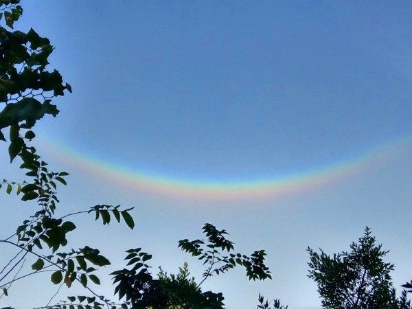Circumzenithal arc
