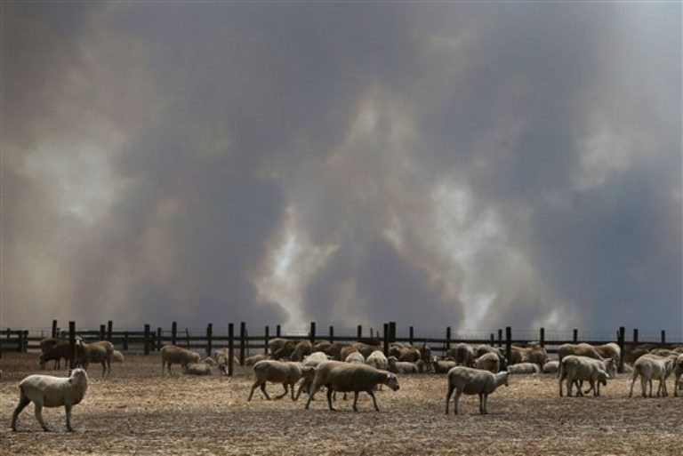 Click to enlarge A large plume of smoke is seen over a sheep property in the Parndana region on Kangaroo Island, Australia
