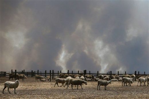 A large plume of smoke is seen over a sheep property in the Parndana region on Kangaroo Island, Australia