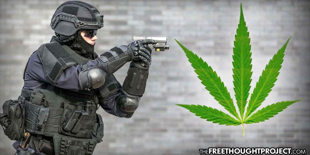 police marijuana