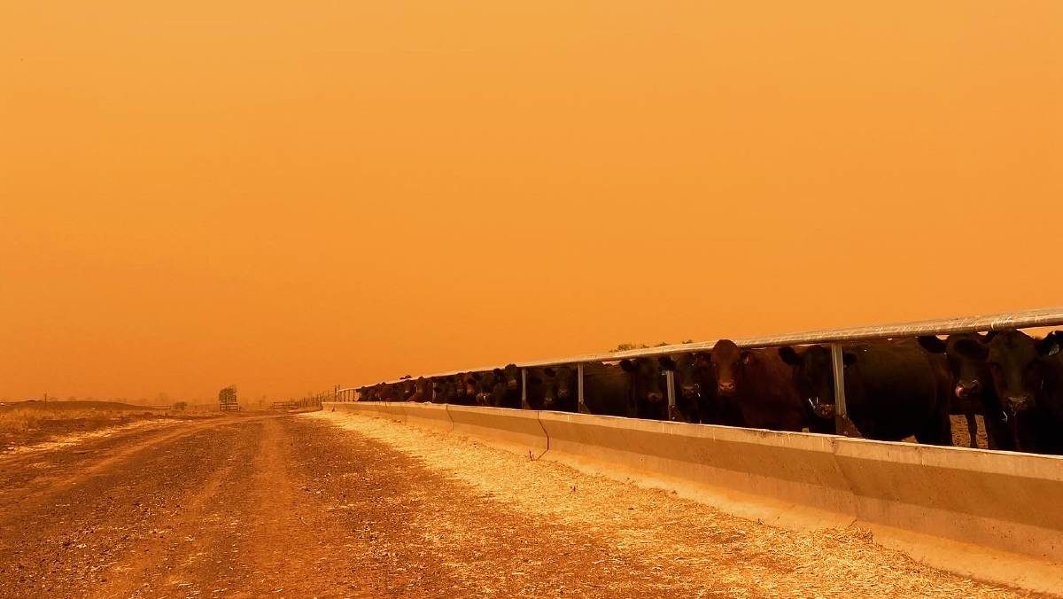 A red hue blanketed much of south west Queensland on Saturday, caused by a weather system moving through from southern Australia.