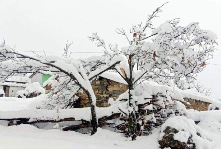 snow