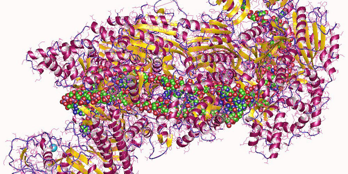 Click to enlarge CRISPR