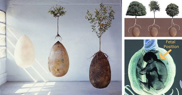 Burial pod