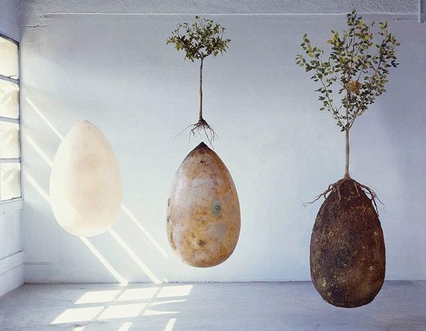 Biodegradable burial pod