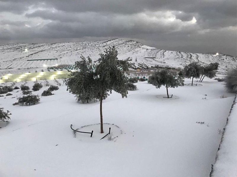 Click to enlarge UAE residents are enjoying the winter chill
