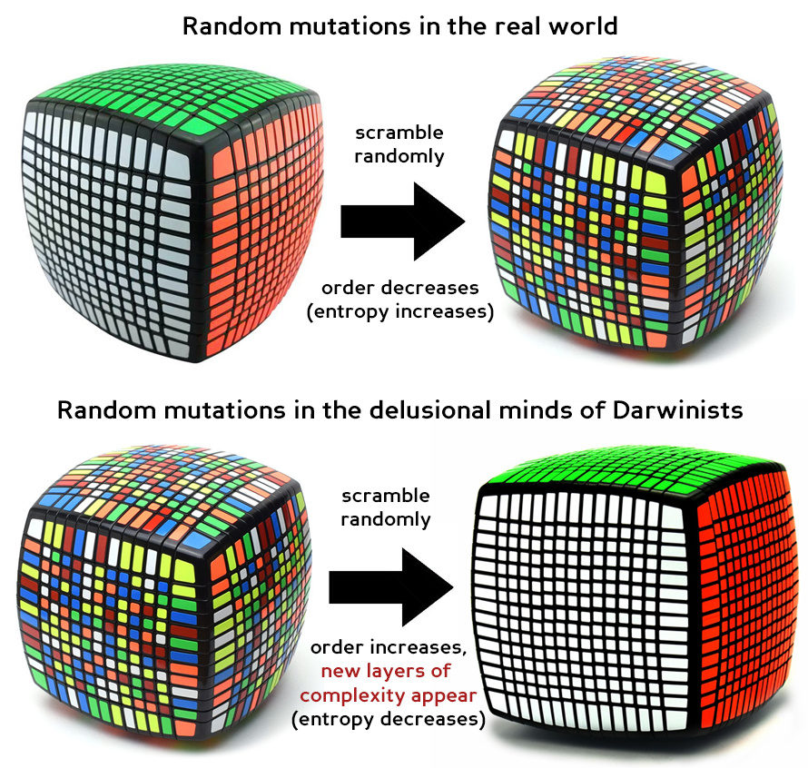 Click to enlarge evocube