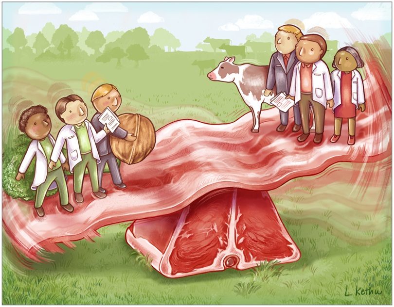 Click to enlarge meat vs veg