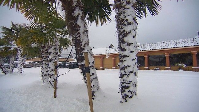 Click to enlarge snow