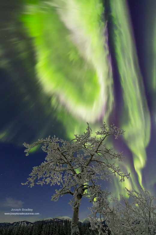 Auroras in the aftermath of a near-Earth magnetic explosion on Dec. 20, 2015