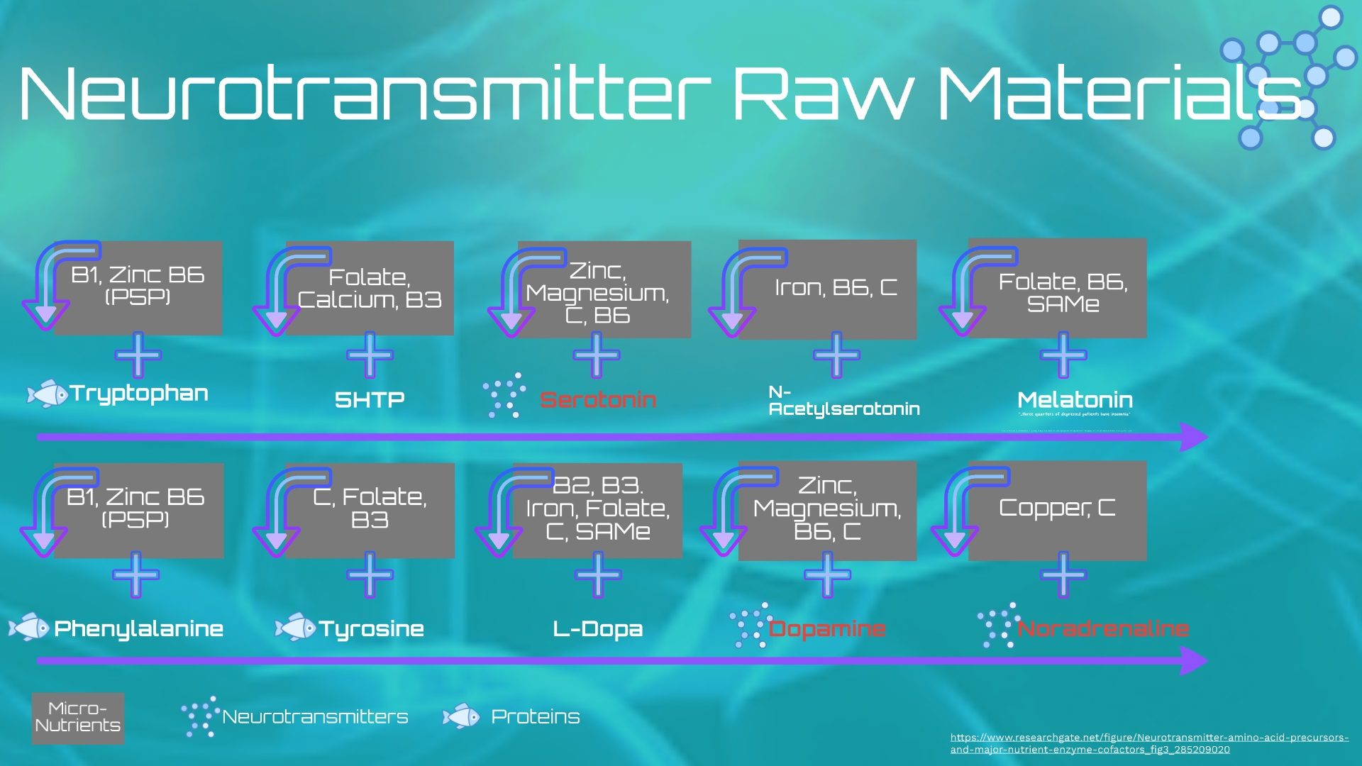 Click to enlarge neurotransmitter raw material