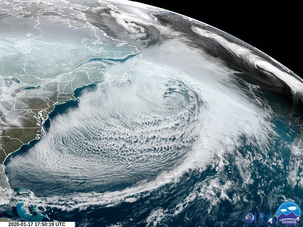 Newfoundland blizzard