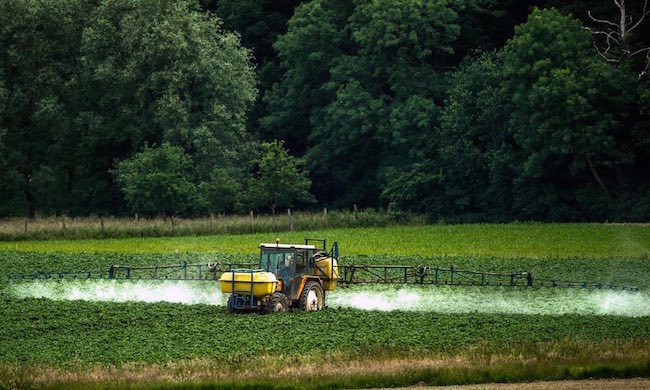 pesticides