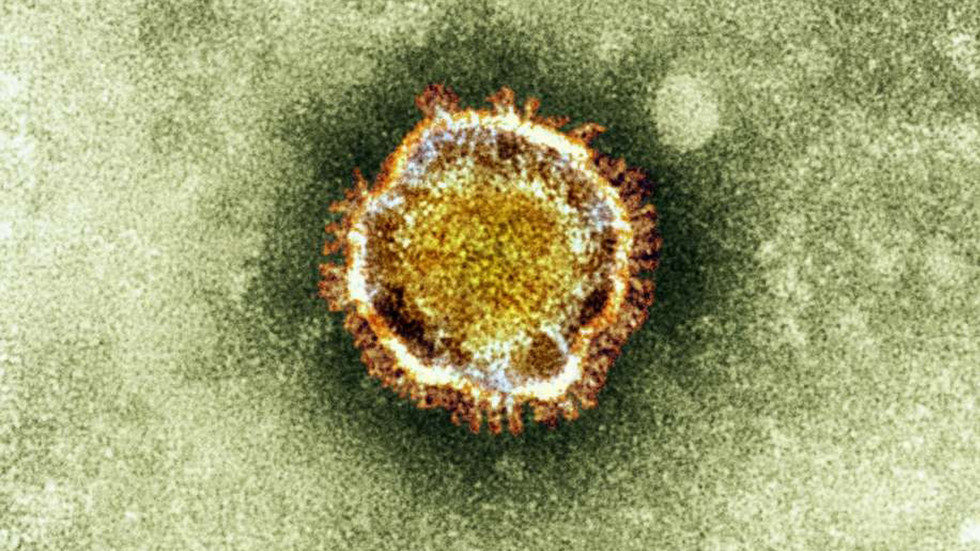 Click to enlarge coronavirus
