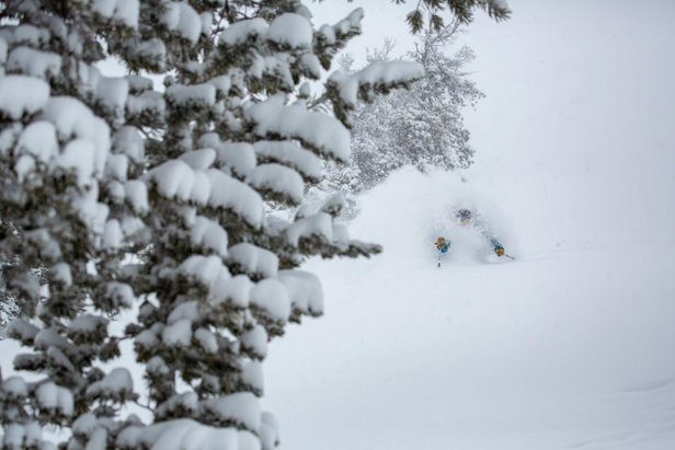 It has snowed 11 feet in Jackson Hole in January, with more on the way