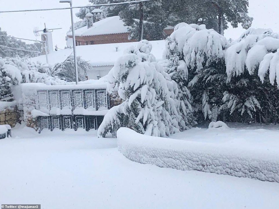 Click to enlarge At least a foot of snow covers a driveway, gate and trees in Biar, Alicante. It is several kilometres inland from the coast