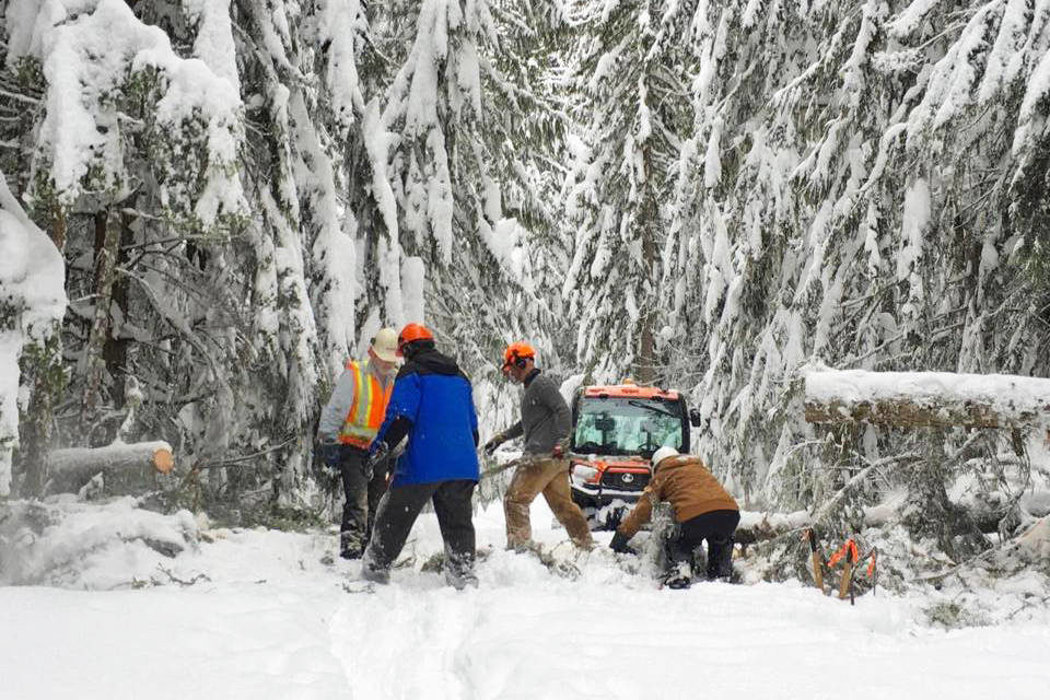 A crew removes downed trees from Larch Hills cross-country ski area trails.