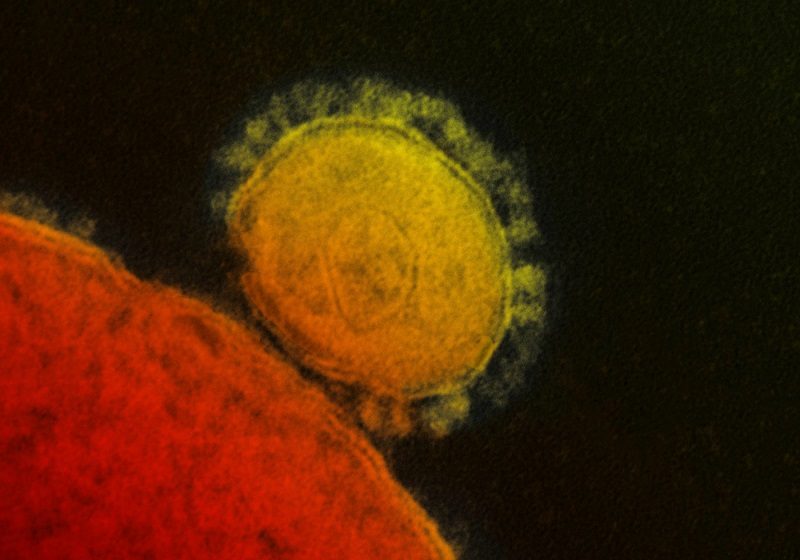 Click to enlarge MERS coronavirus