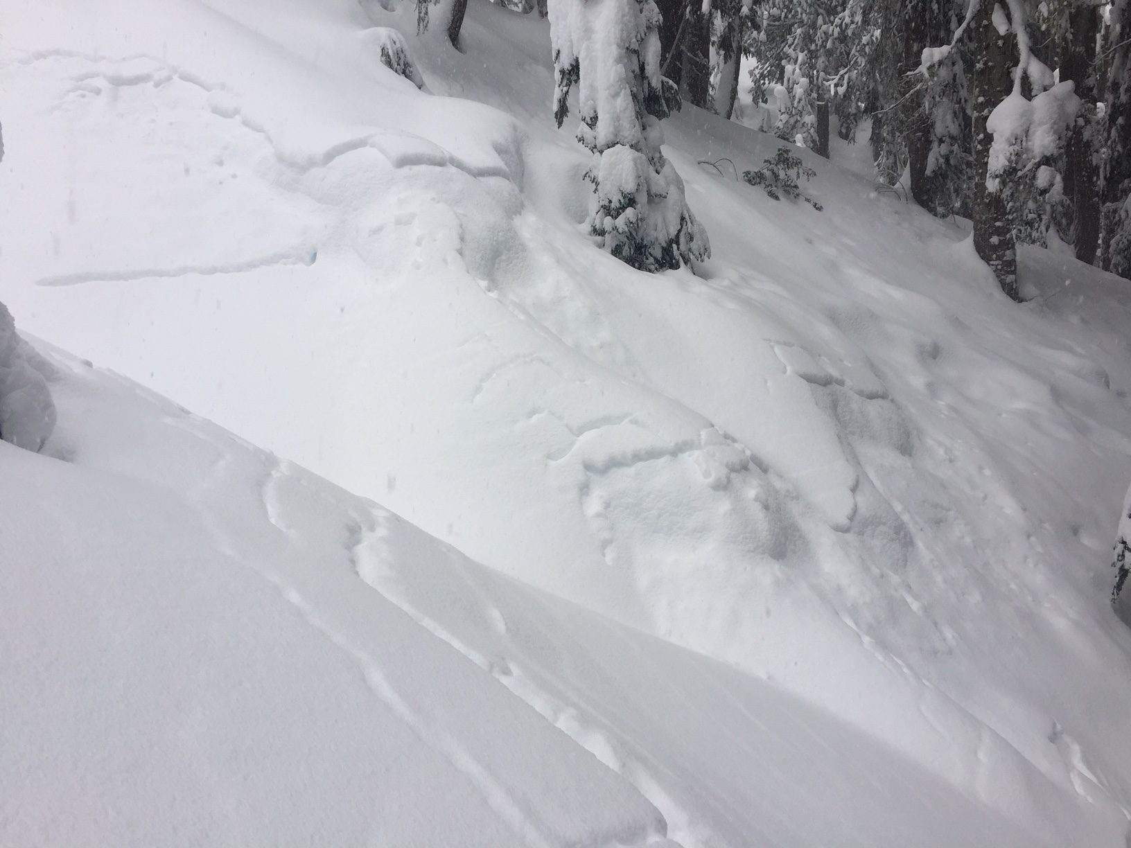 SNOW SLIP
