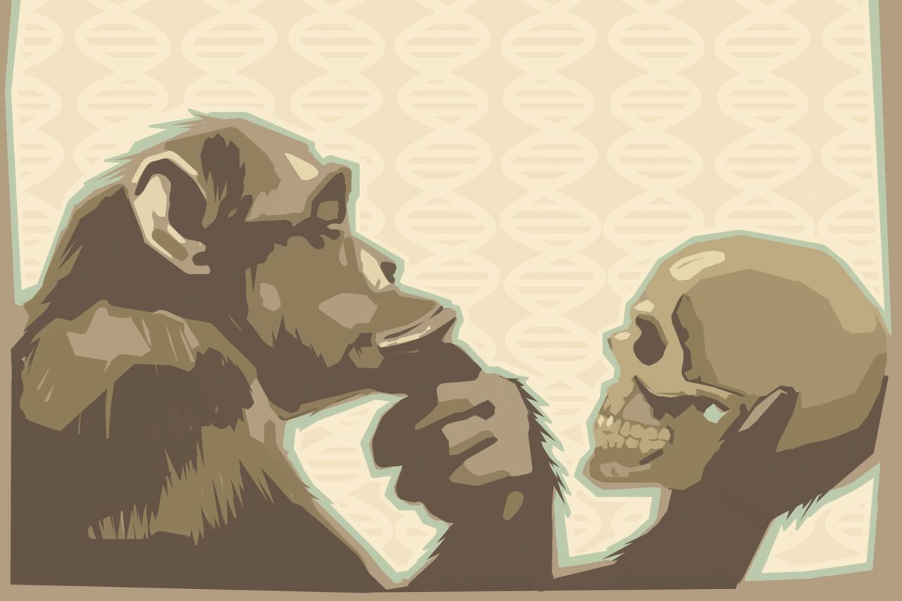evolution decline