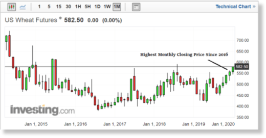 corn prices