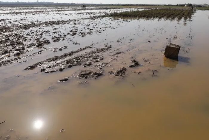 Click to enlarge Gaza farmland destroyed