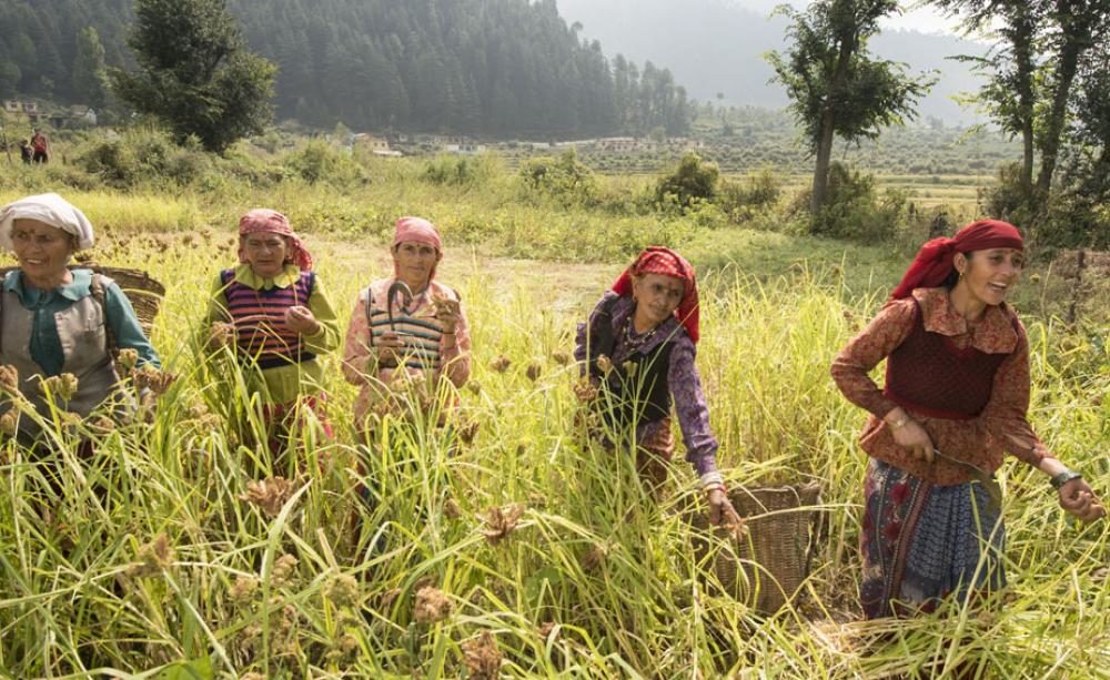 india peasant farmers