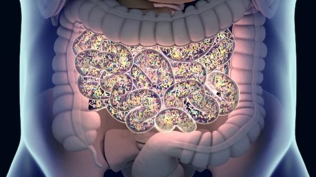 microbiome