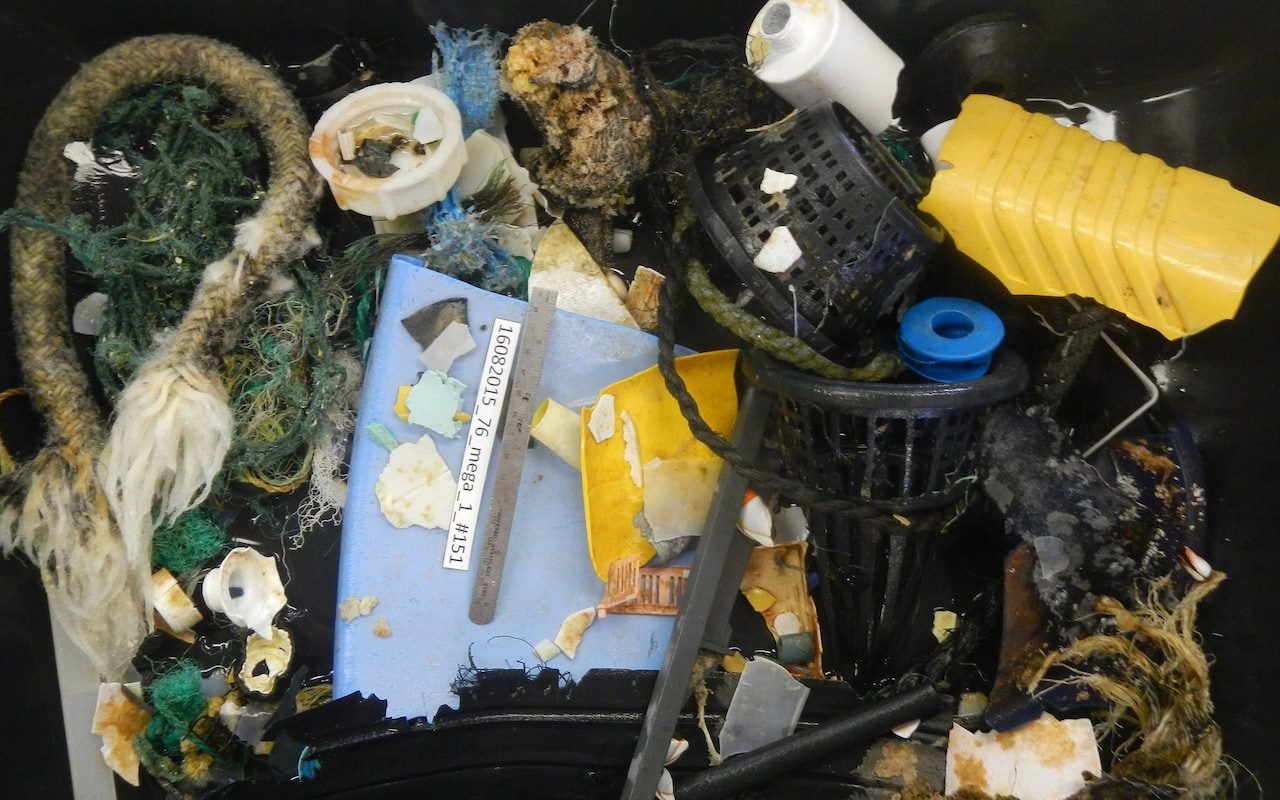 garbage patch pacific ocean