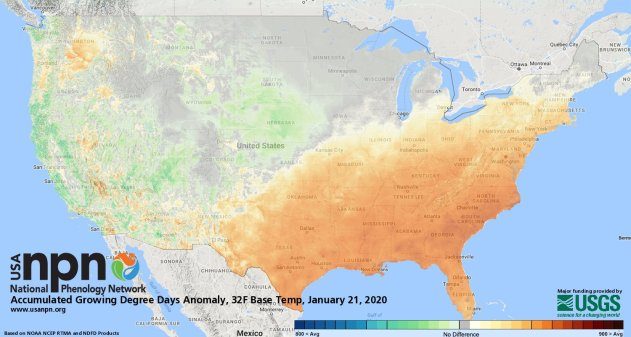 Click to enlarge US warm january