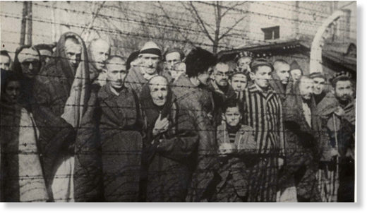 auschwitz prisoners