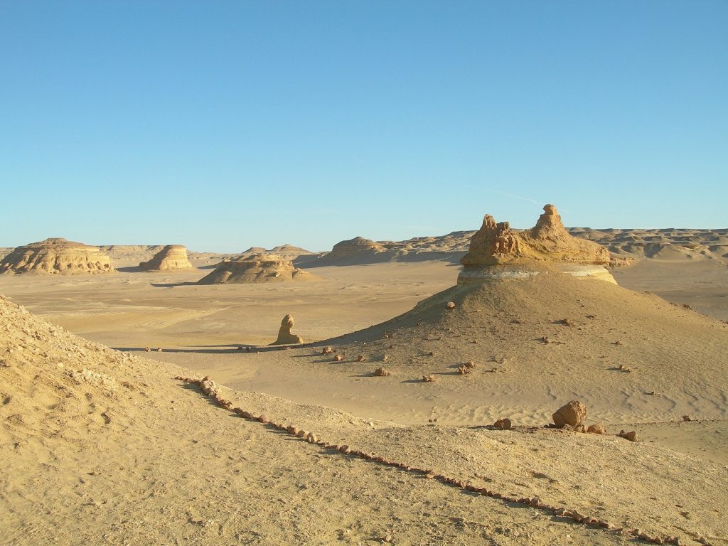Click to enlarge whale fossils egypt Wadi El Hitan