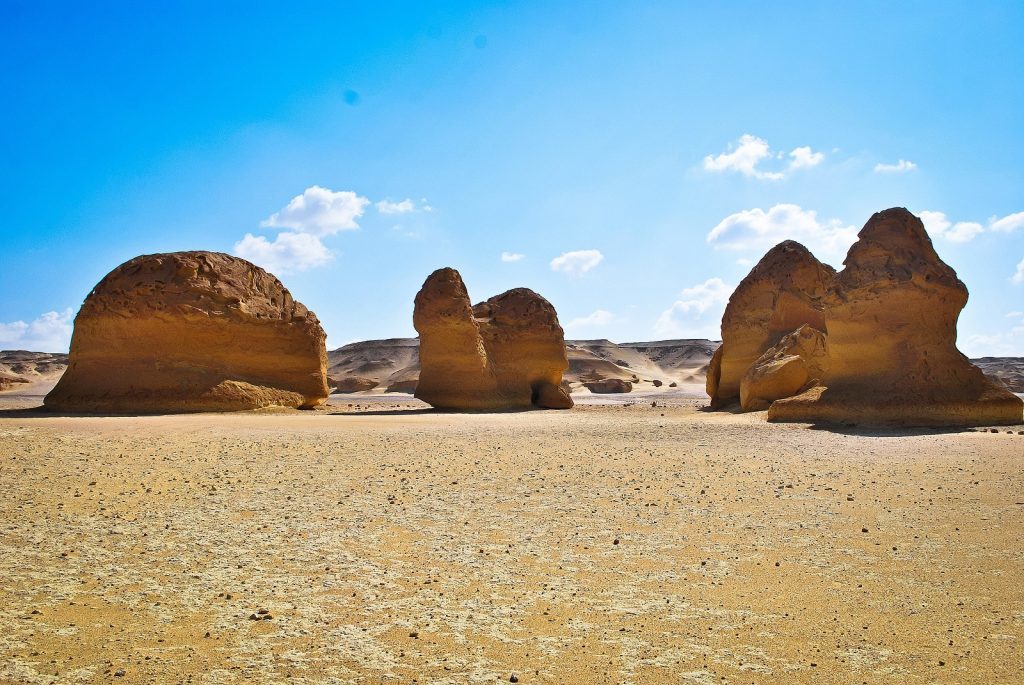 Click to enlarge whale fossils egypt