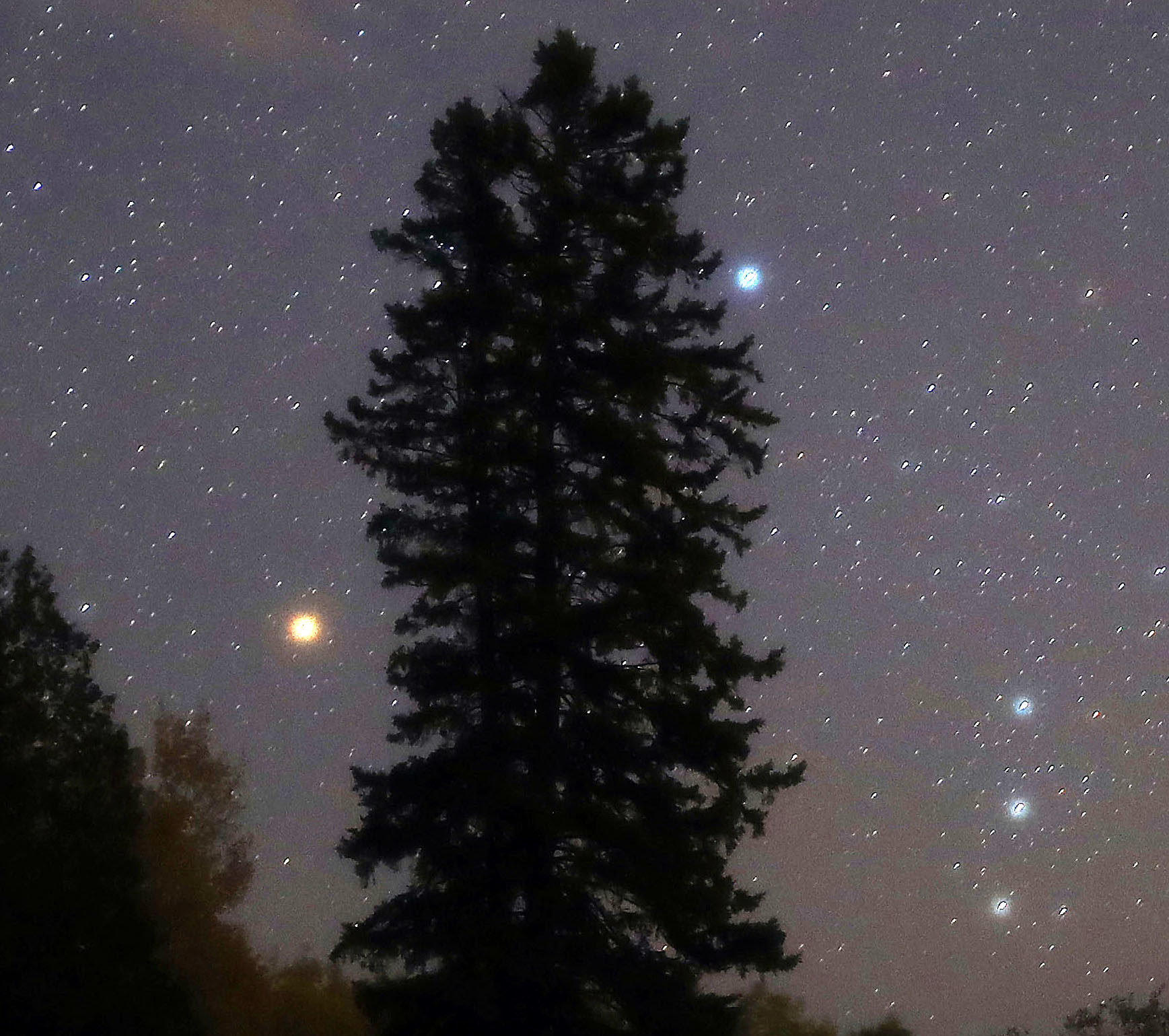 Click to enlarge Betelgeuse