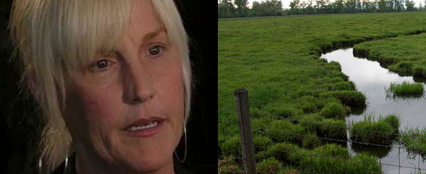 Erin Brockovich