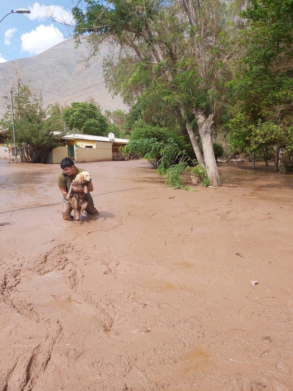 Click to enlarge Floods in Atacama, Chile, January 2020.