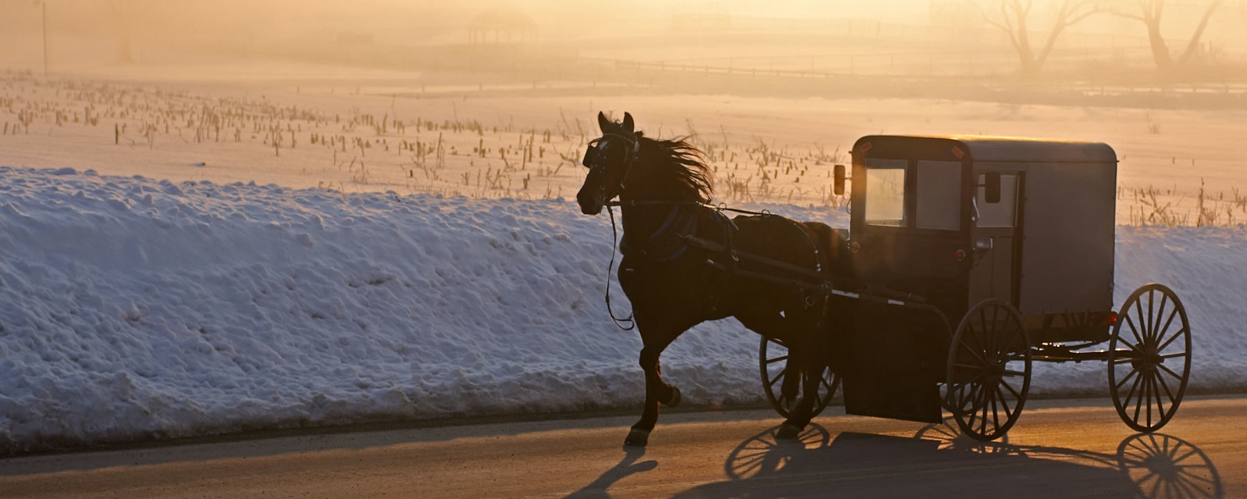 Amish