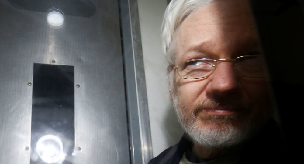 Click to enlarge assange court appearance