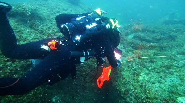 Click to enlarge Diver