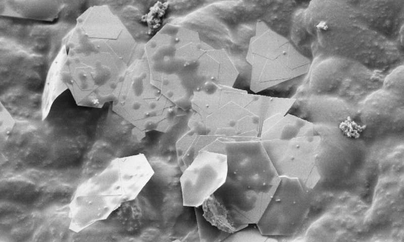 Click to enlarge gold nanoplatlets plastic