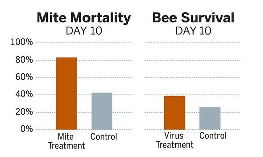 Click to enlarge Chart