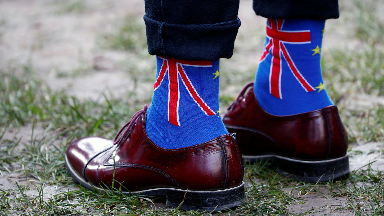 brexit socks