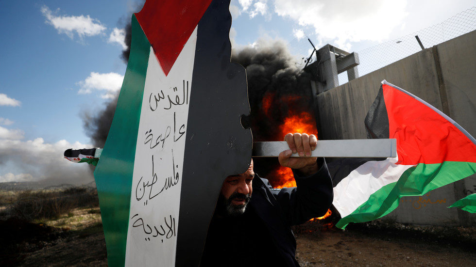 Click to enlarge palestinian demonstrator