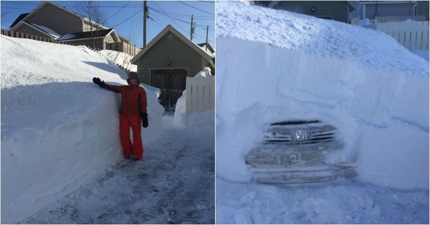 Newfoundland blizzard: 