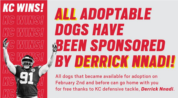 Adopt dogs