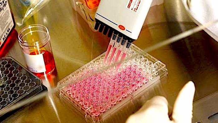 drug dosage prep