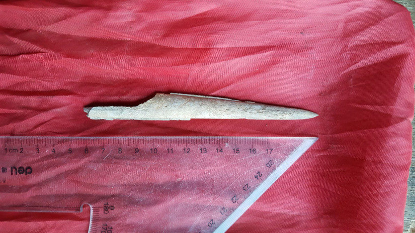 Click to enlarge Bone Knife