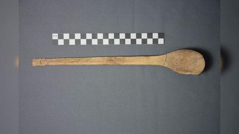 Bone Spoon
